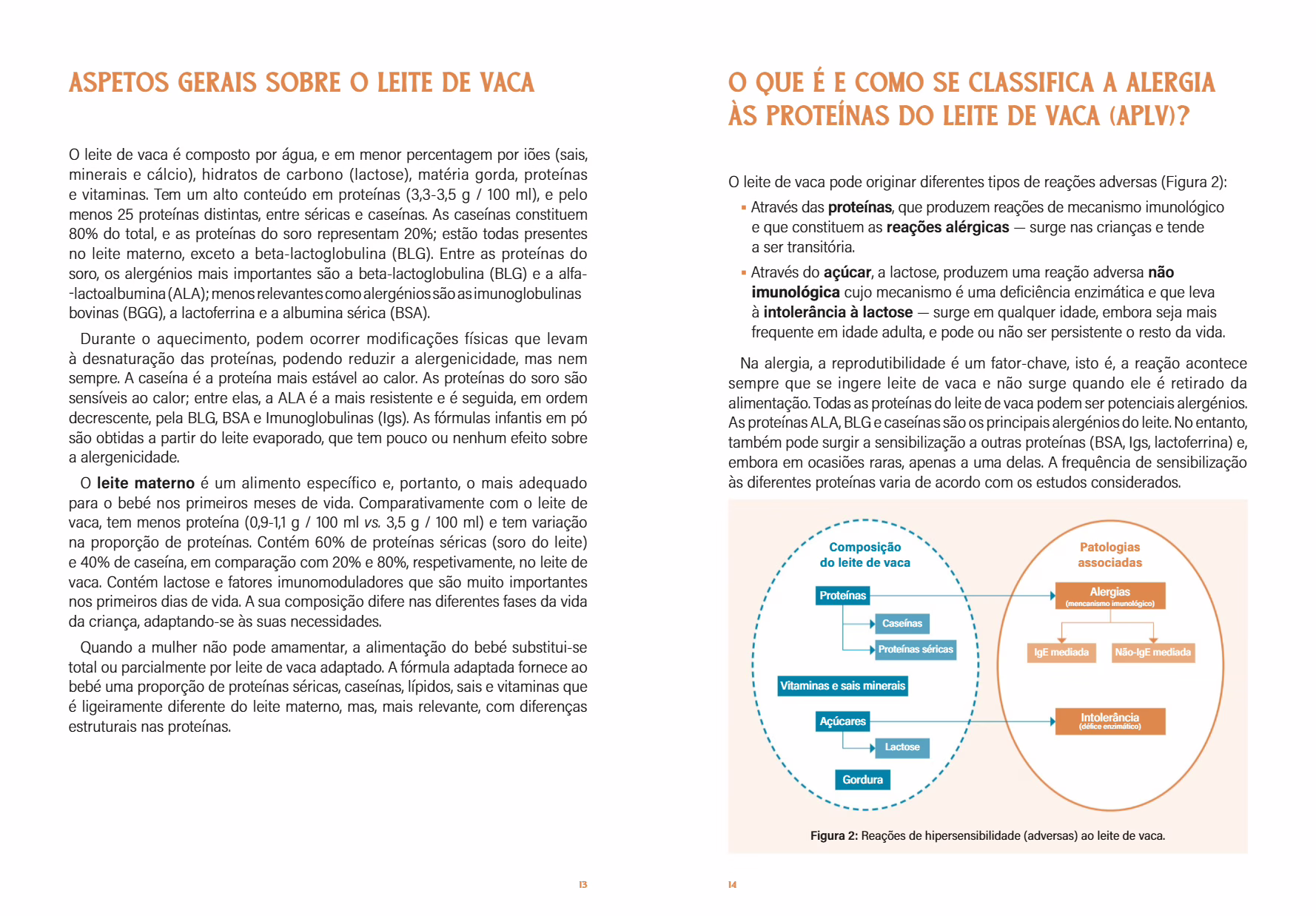 Livro "ALERGIAS - COMER SEM MEDOS" - Image 9