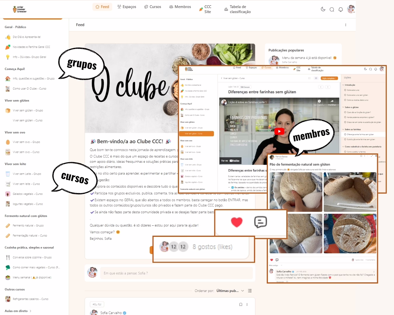 O Clube CCC oferece cursos exclusivos para aprender a cozinhar sem glúten, sem leite e sem ovos. Inclui fermentação natural, menus semanais, receitas testadas e aulas ao vivo. Descobre como substituir ingredientes e transformar a tua alimentação de forma simples e prática.