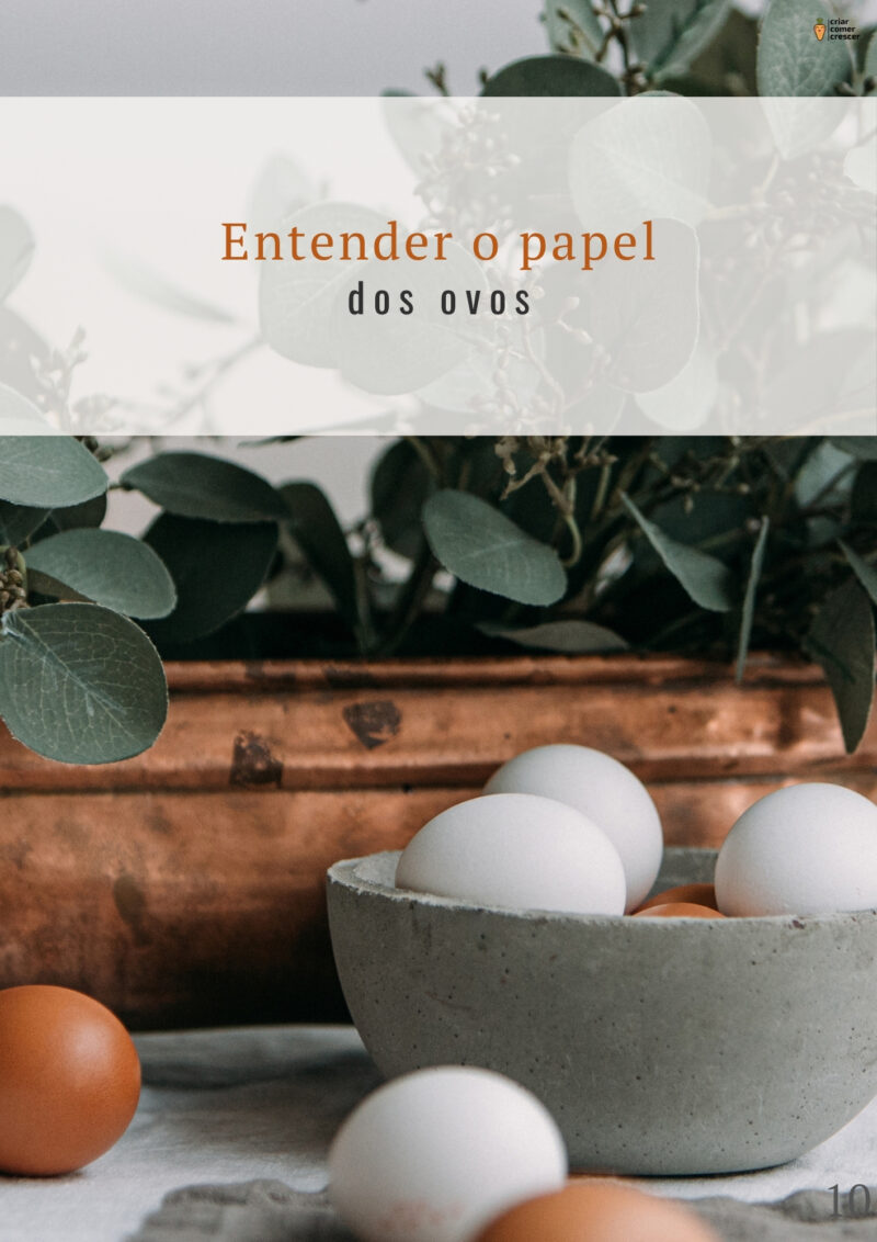 Fotos amostra páginas - ebook viver sem ovo - guia completo para como substituir ovo em receitas , com tabelas e "formulas" para que tenhas sempre bons resultados