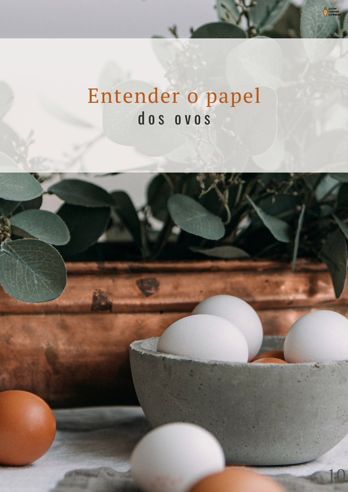 Fotos amostra páginas - ebook viver sem ovo - guia completo para como substituir ovo em receitas , com tabelas e "formulas" para que tenhas sempre bons resultados