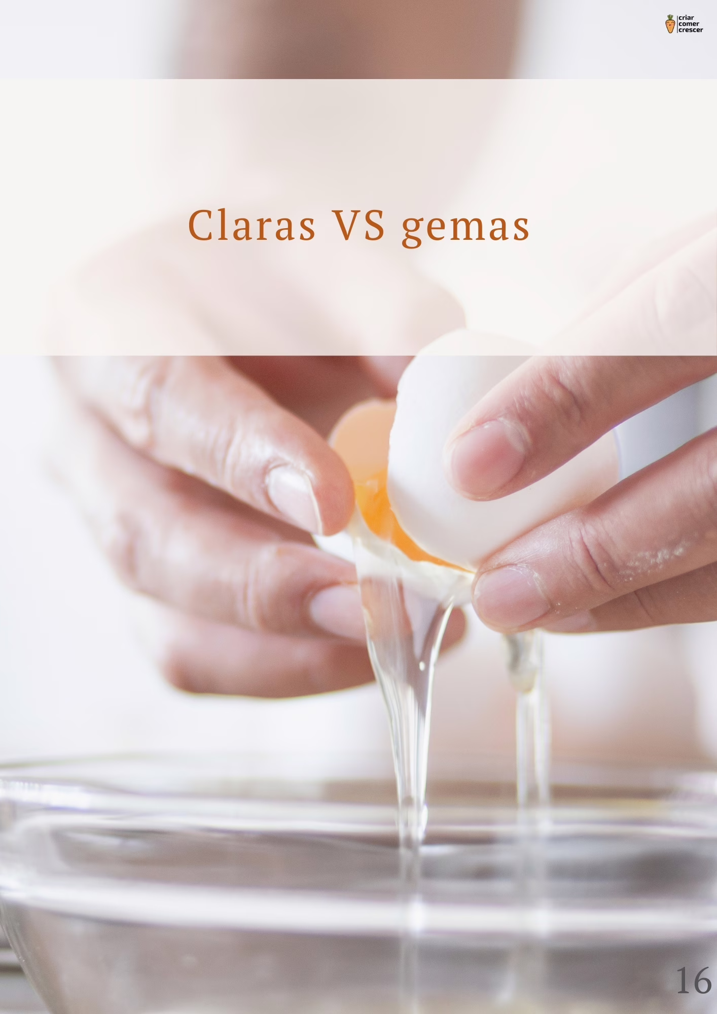 Fotos amostra páginas - ebook viver sem ovo - guia completo para como substituir ovo em receitas , com tabelas e "formulas" para que tenhas sempre bons resultados