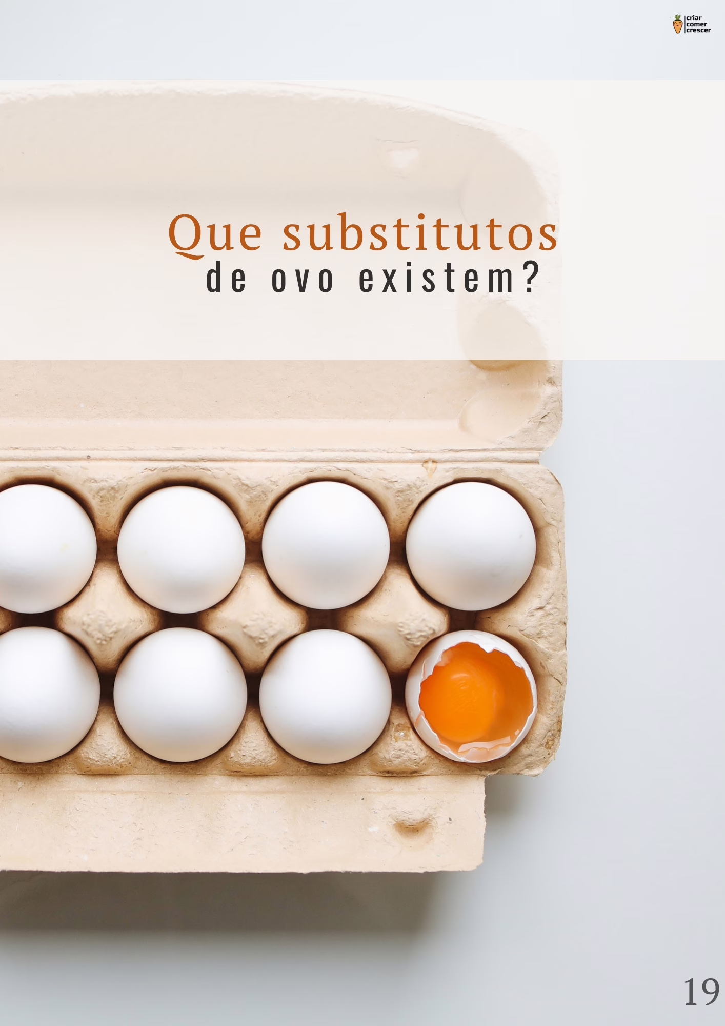 Fotos amostra páginas - ebook viver sem ovo - guia completo para como substituir ovo em receitas , com tabelas e "formulas" para que tenhas sempre bons resultados