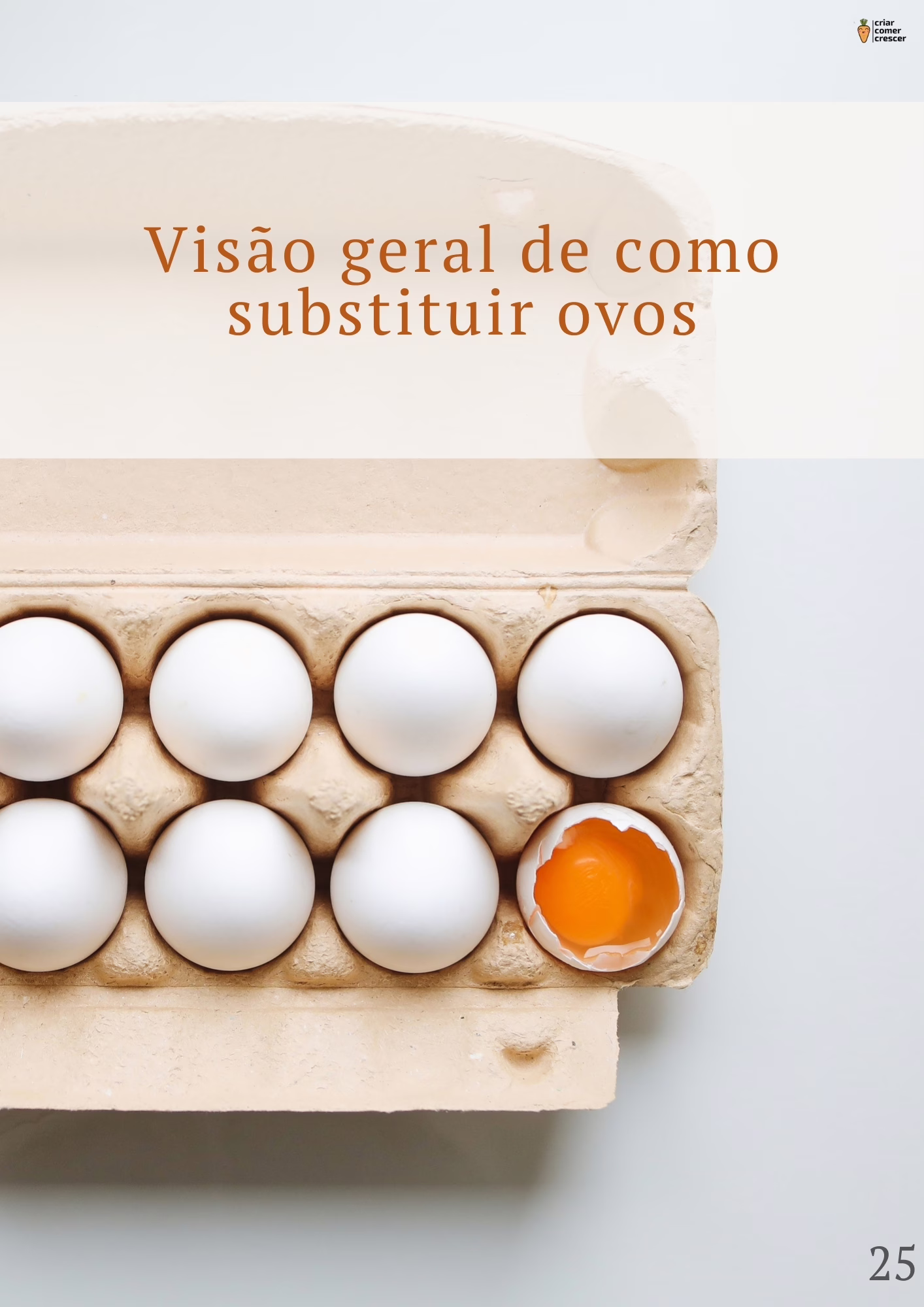 Fotos amostra páginas - ebook viver sem ovo - guia completo para como substituir ovo em receitas , com tabelas e "formulas" para que tenhas sempre bons resultados