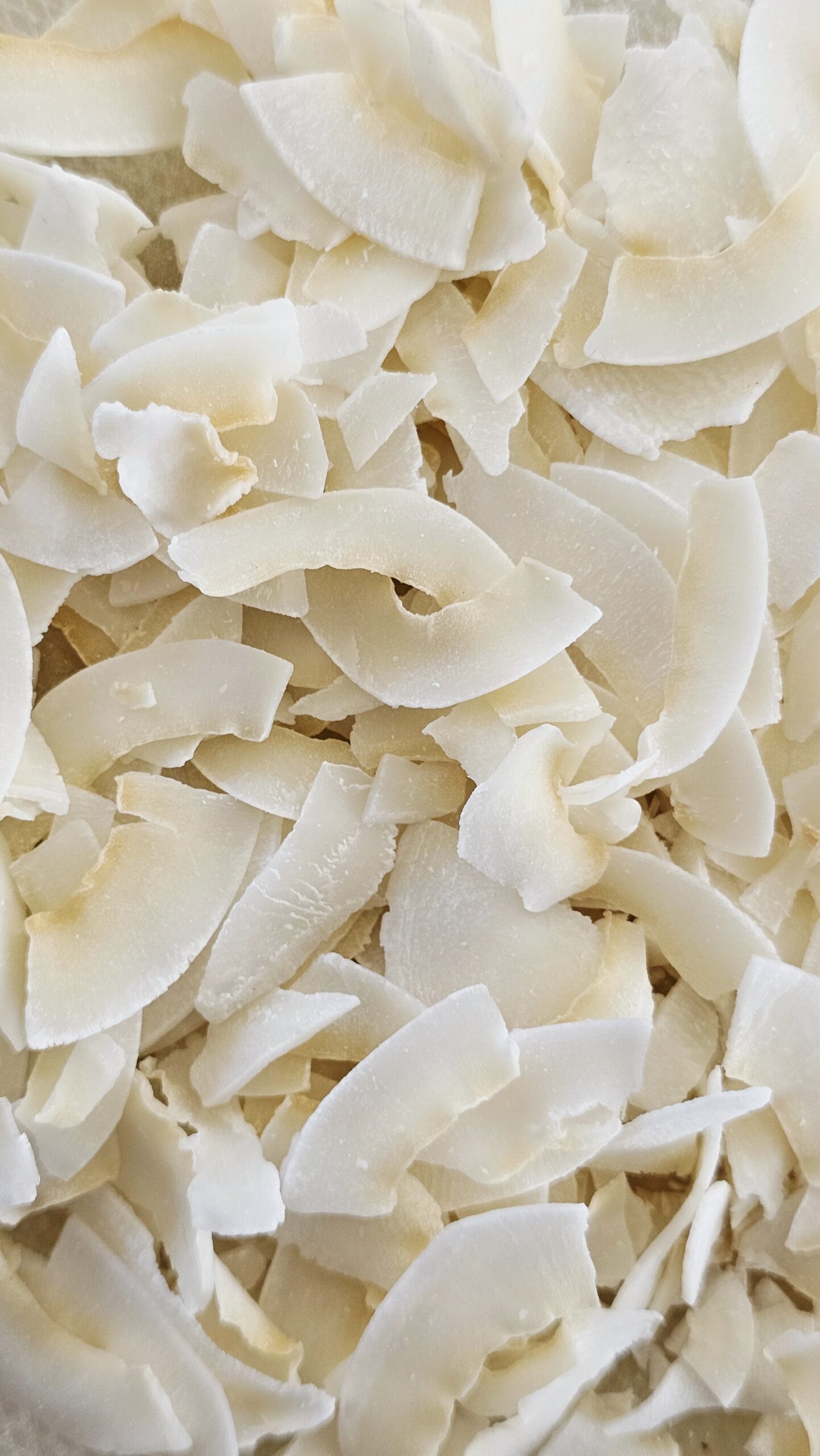 lascas de coco para as bolachas de gengibre de fermentação natural