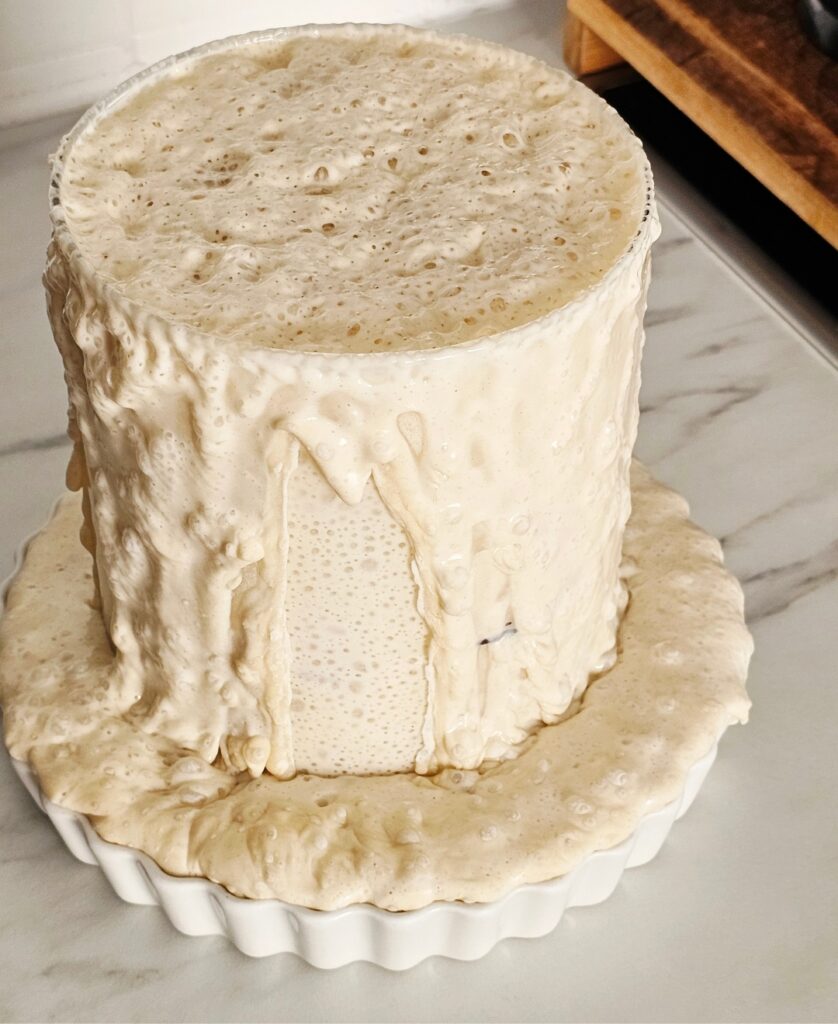 Fermento natural crescido a transbordar do frasco, pousado num prato de louça branca